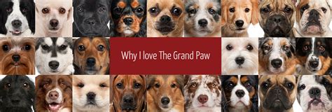 Grand paws - At the Grand Paws Animal Clinic, we provide quality health care for your pets at affordable prices. To provide you the best in animal care, we do limit our services to cats and dogs. Our veterinary clinic also has a convenient early morning drop off service to better serve your busy lives.